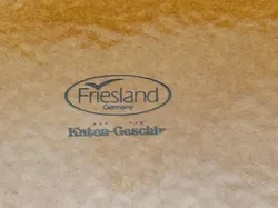 FRIESLAND 