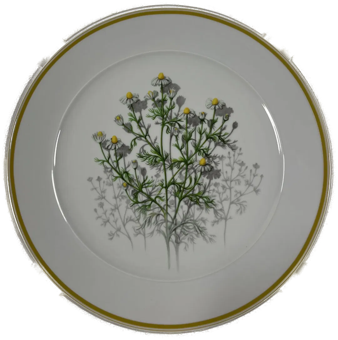 SUISSE LANGENTHAL Sammelteller Nr. 596 Weihnachten 1990 Matricaria Chamomilla mit Zertifikat - Bild 1