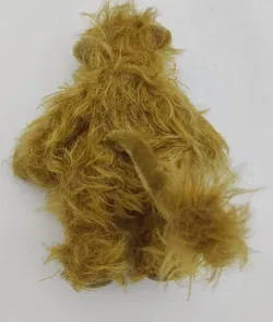 MS Bären - Löwe Leo - Bild 2
