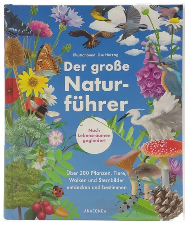 Buch 