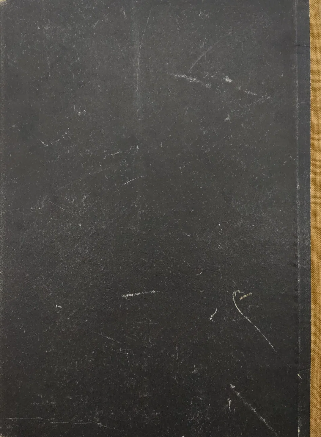Vintage Buch - In der Heimat der Blumen - Annelies Umlauf-Lamatsch – Bild 3