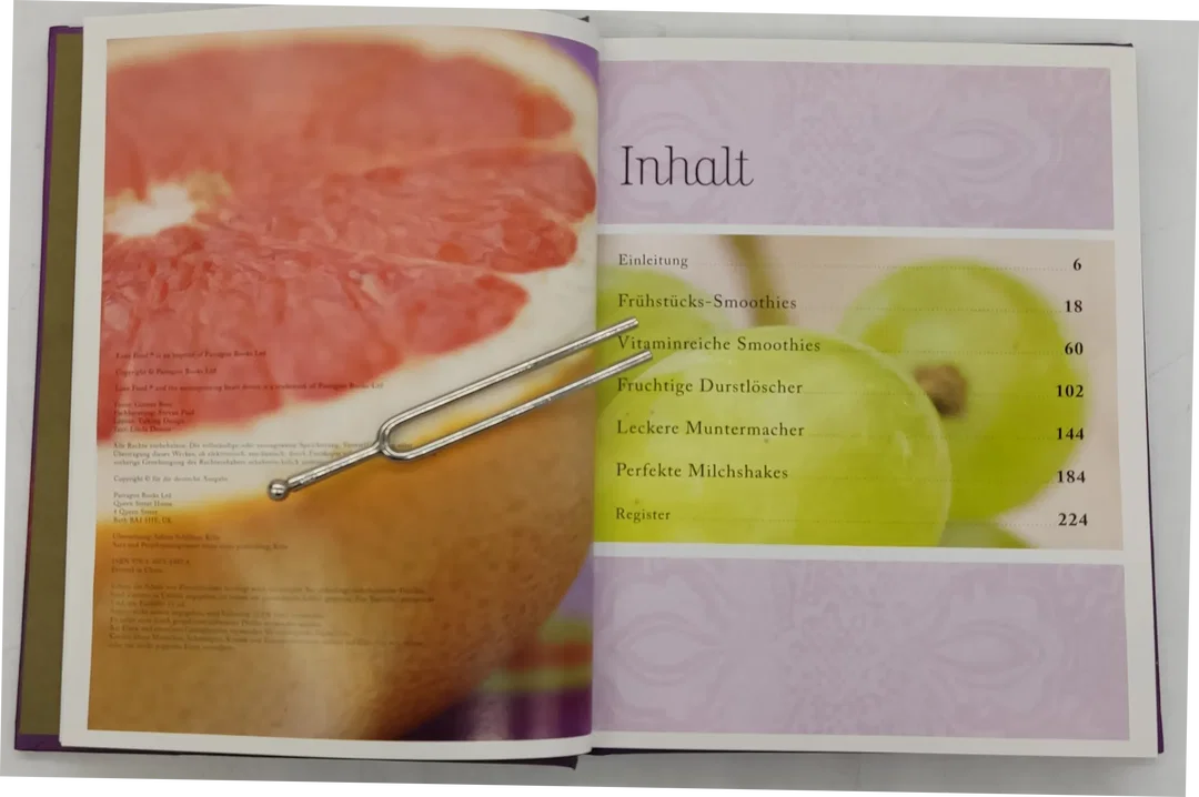 Buch Säfte & Shakes Unwiderstehliche Rezeptideen für fruchtig-frische Mixgetränke – Bild 3