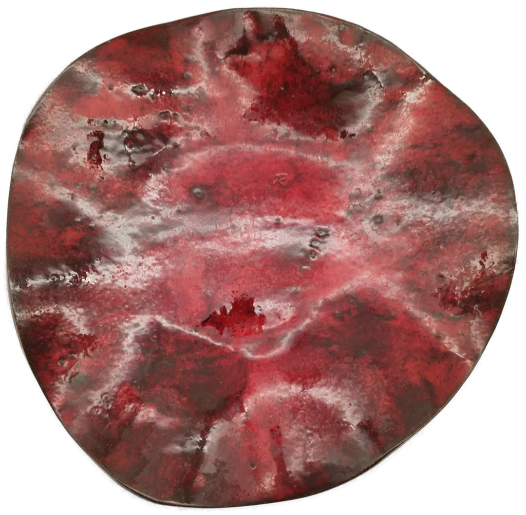 Ing. Raimund Steiner Dekorativer Teller - Durchmesser ca. 43cm - Bild 4