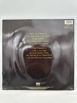Langspielplatte - Sinead O`Conner - I do not want what i haven`t got - Bild 2