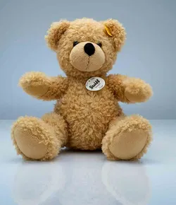 Steiff Teddybär Fynn 28cm Beige Knopf im Ohr gelbe Fahne Nr. 111471 - Bild 4