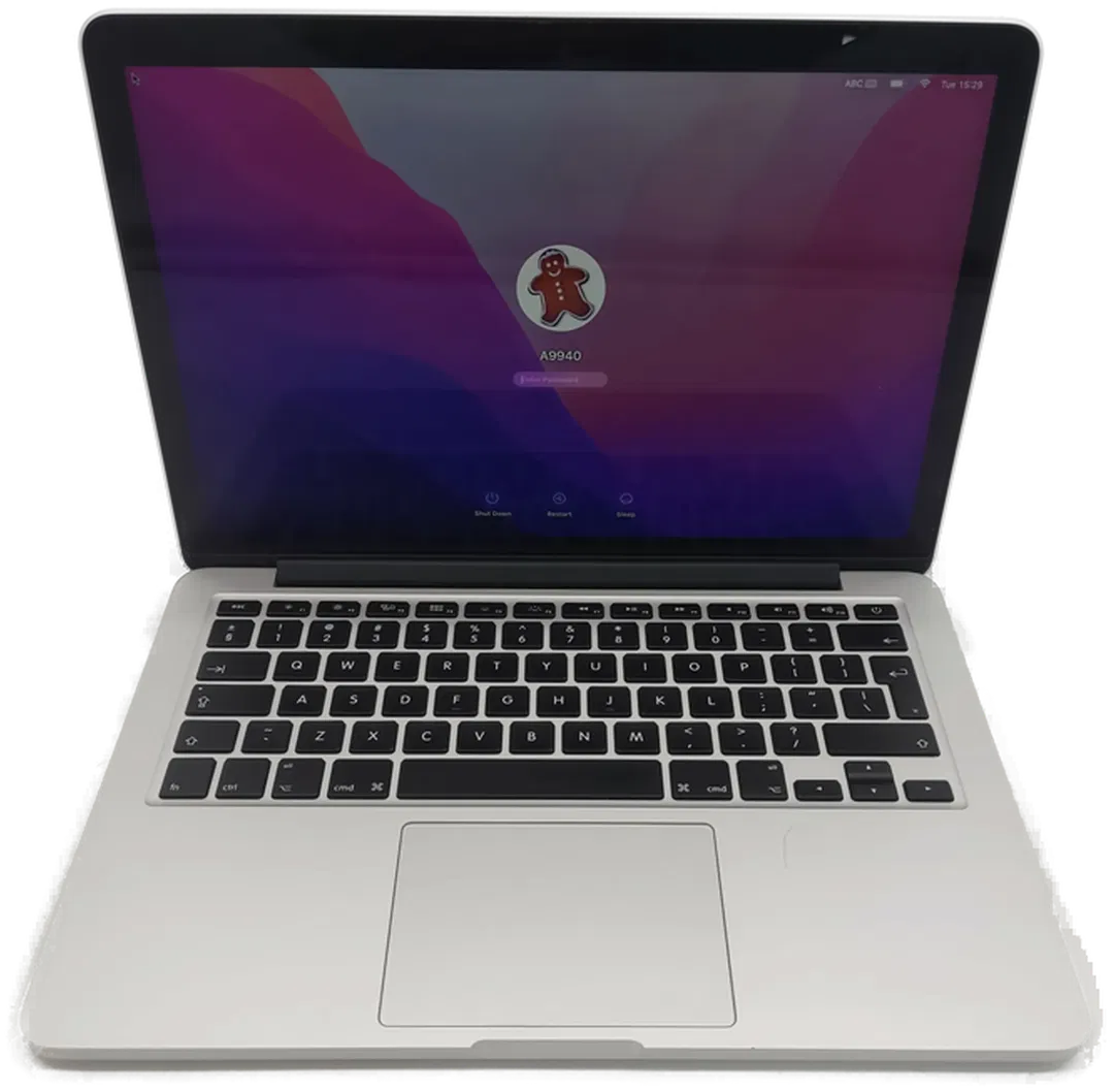 Apple MacBook Pro Early 2015 13,3