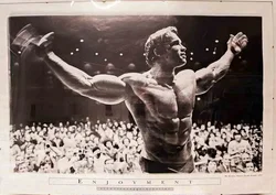 Großes Arnold Schwarzenegger Poster „Enjoyment“ 100x70 – 1974 Vintage Original - Bild 1