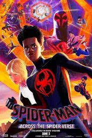 Spiderman: Across the Spiderverse DVD - Bild 2