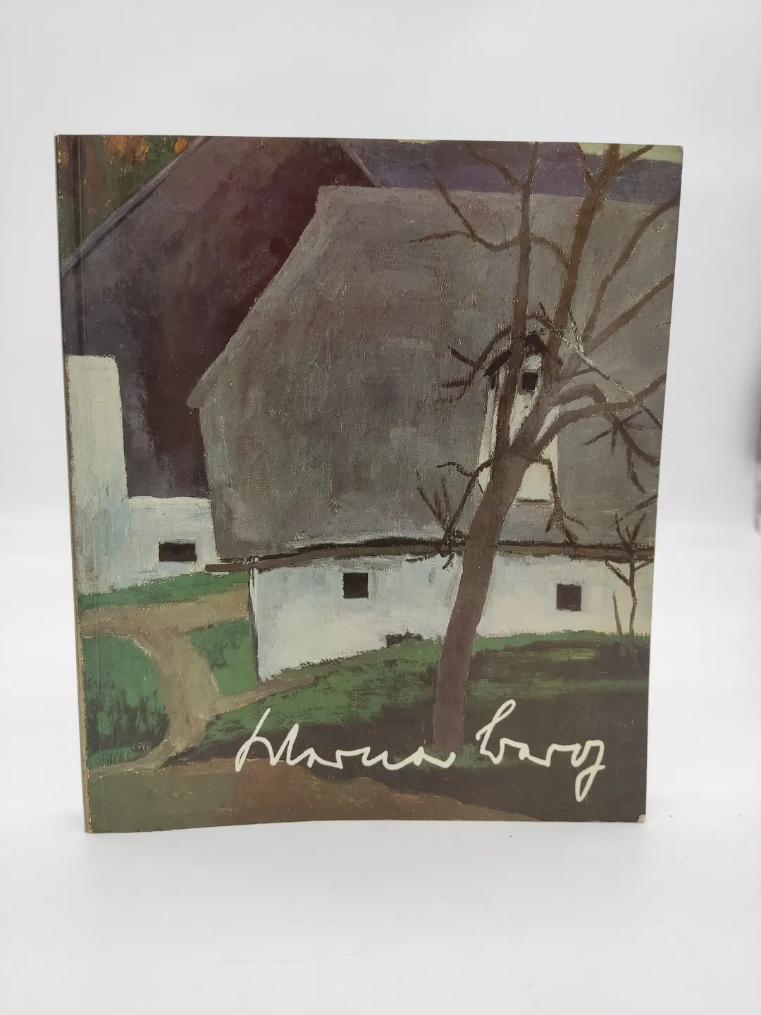Werner Berg-  Seine Kunst, sein Leben - Harald Scheicher (Herausgeber)  - Bild 2