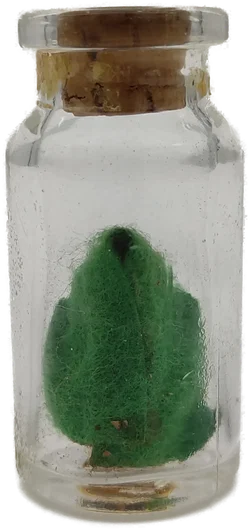 Skandinavische Miniatur-Wichtelfigur in Glasflasche | Geschenkidee - Bild 2