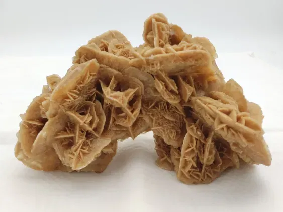 Wüstenrose Sandrose - Bild 4