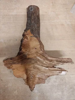 Waldgeist Wandfigur Holz 36 cm | Handgeschnitztes Unikat - Bild 2