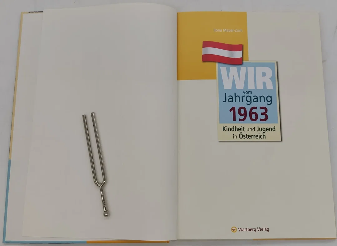 Buch "Wir vom Jahrgang 1963" Kindheit und Jugend in Österreich – Bild 3