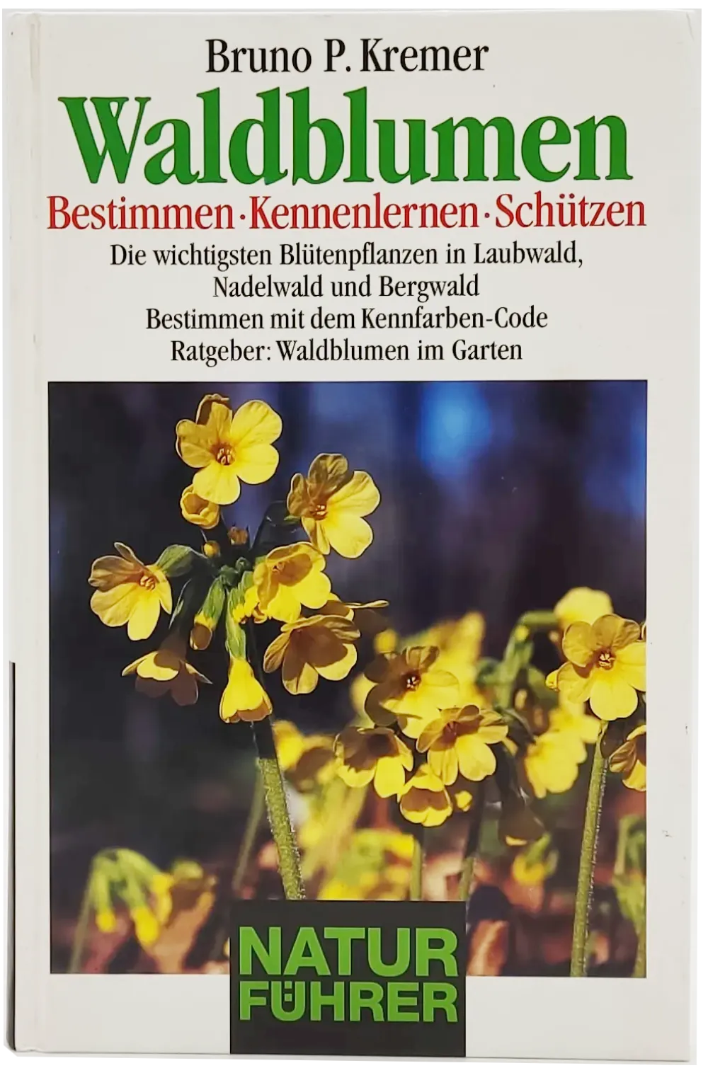Buch 