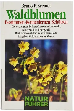 Buch 