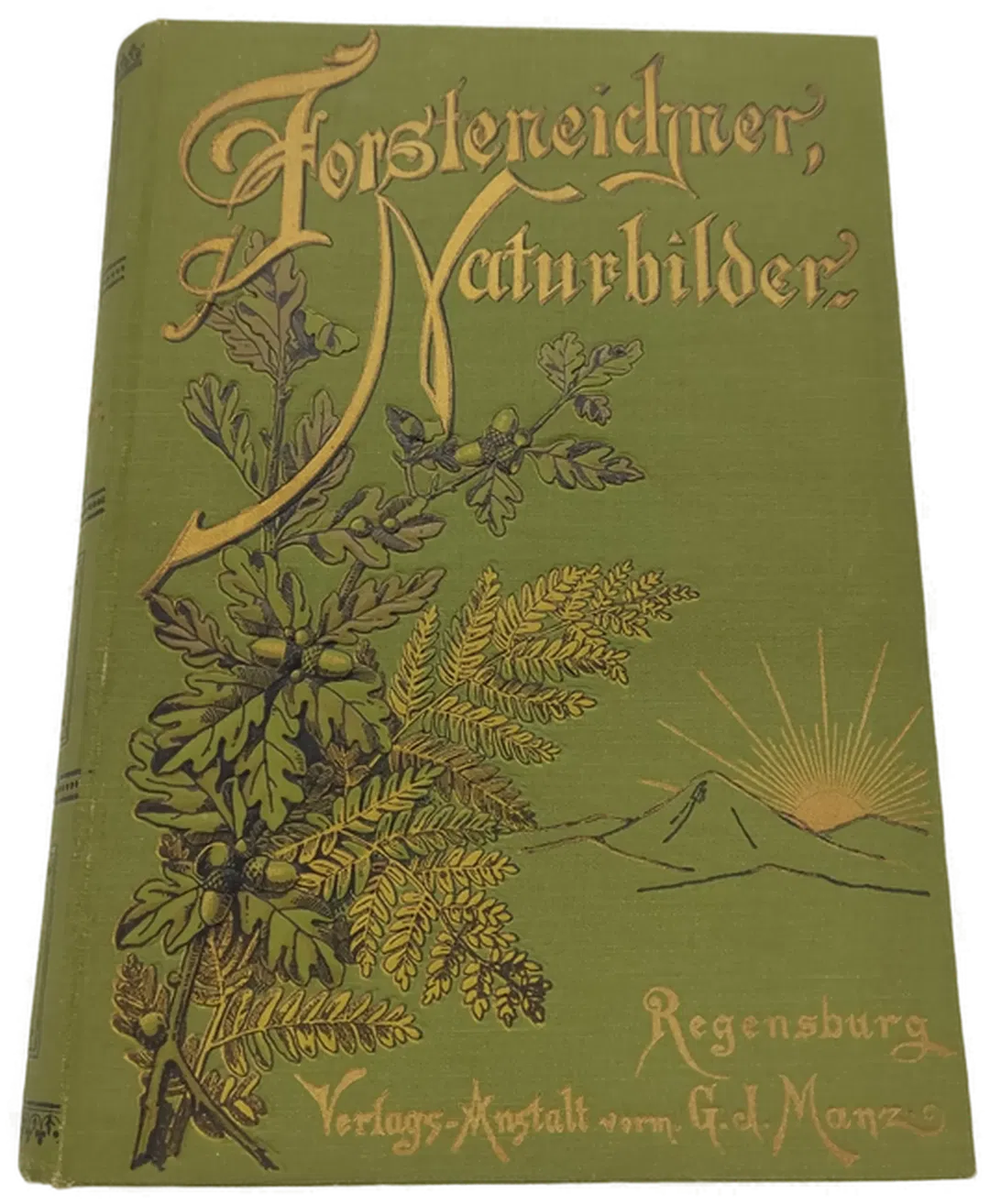 Altes Buch Forsteneichner Naturbilder - Bild 1