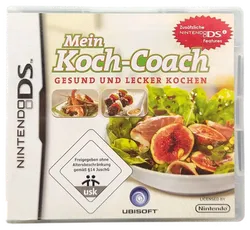 Nintendo DS 