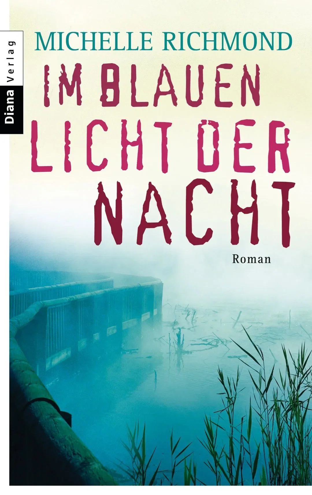 Im blauen Licht der Nacht - Michelle Richmond – Bild 1