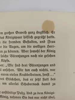 Was drei kleine Bären im Walde erlebten - Bild 8