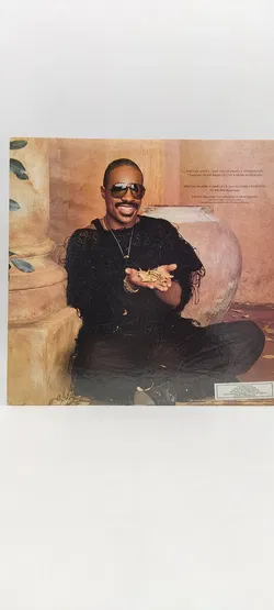 LP Vinyl Stevie Wonder LP 