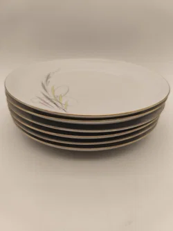 Speiseservice komplett , Eschenbach, 50er Jahre, Midcentury, Vintage, selten - Bild 4