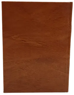  Buch Heilschnäpse, Magenbitter, Feine Liköre selbst zubereiten Broschiert - Bild 3