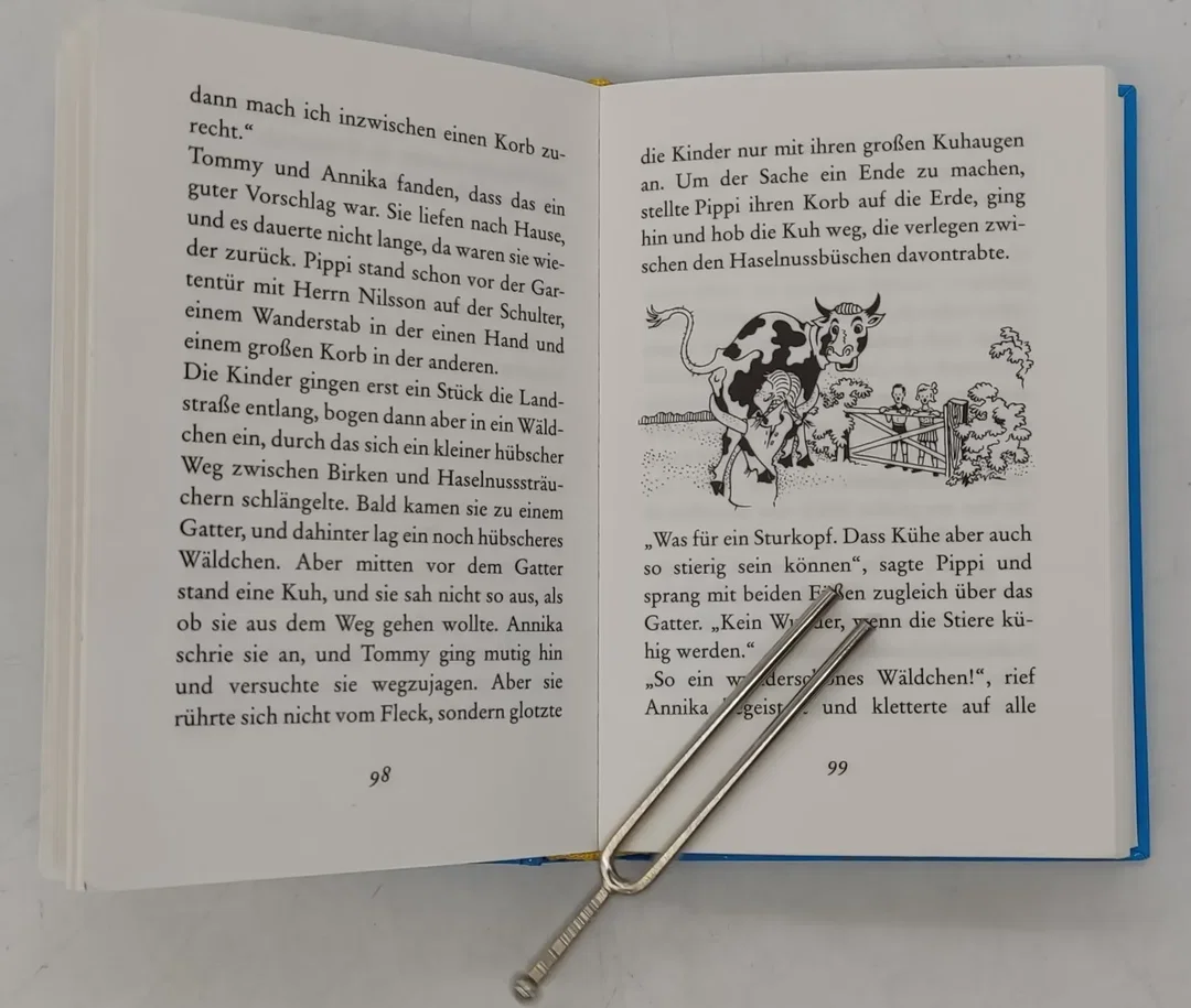 Buch Pippi Langstrumpf von Astrid Lindgren – Bild 4