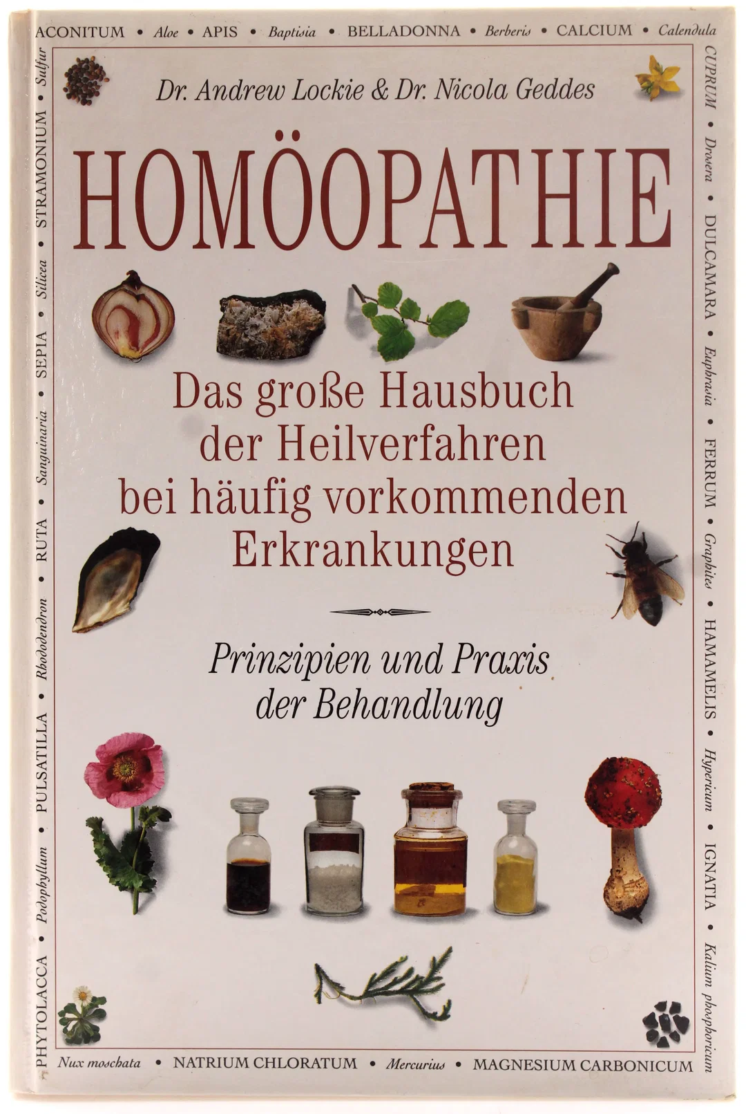 Buch 