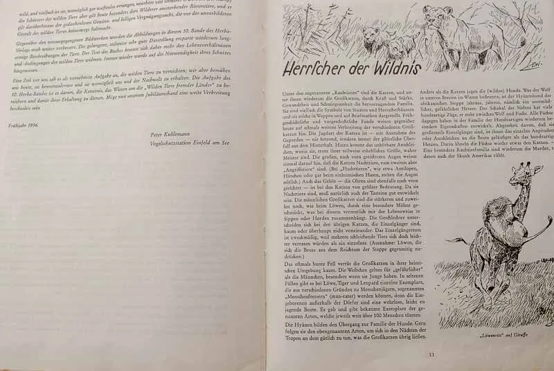 Peter Kühlemann „Wilde Tiere fremder Länder" – Bild 3