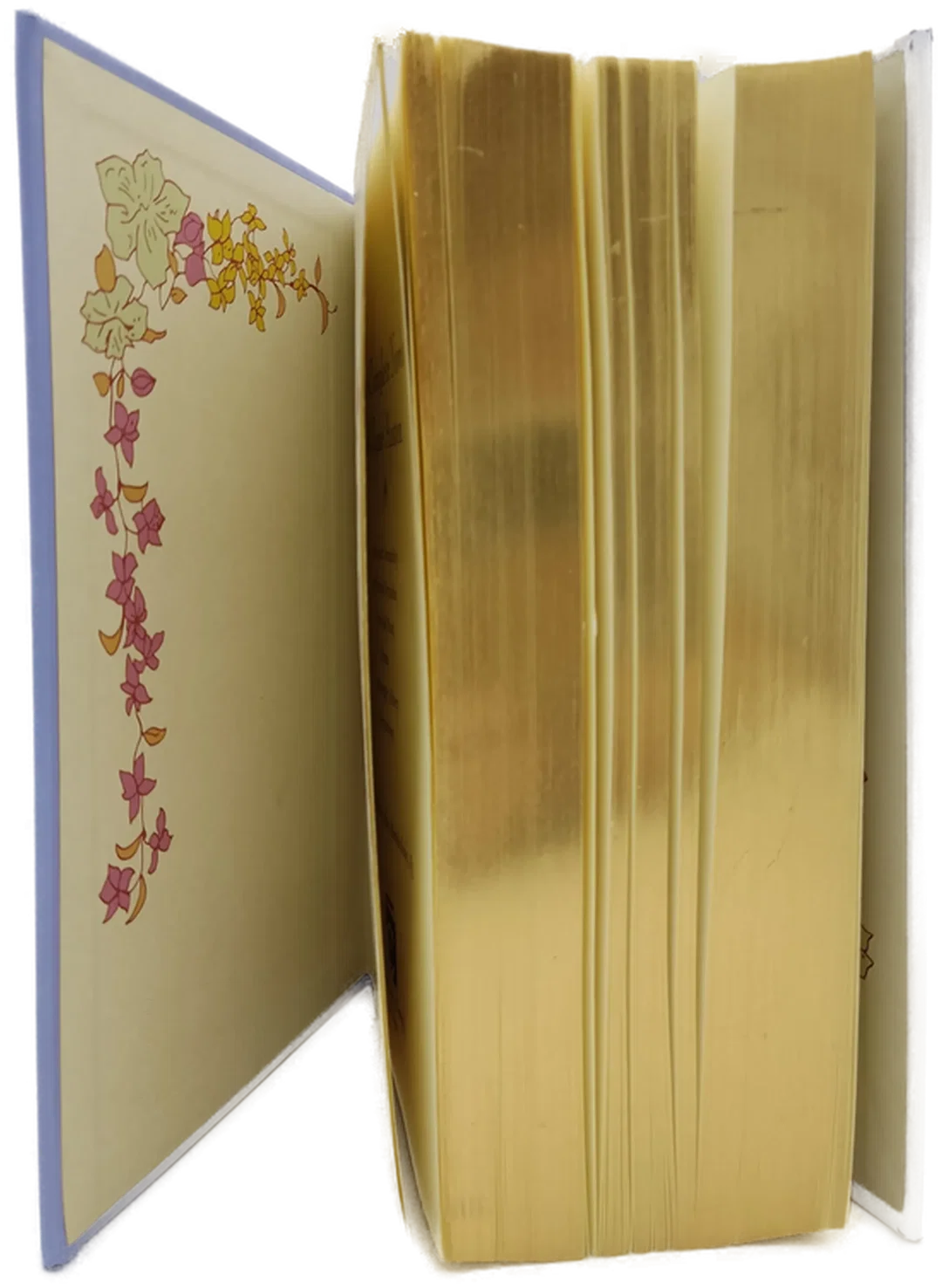 Canterbury Classics: The complete novels of Jane Austen – Bild 3