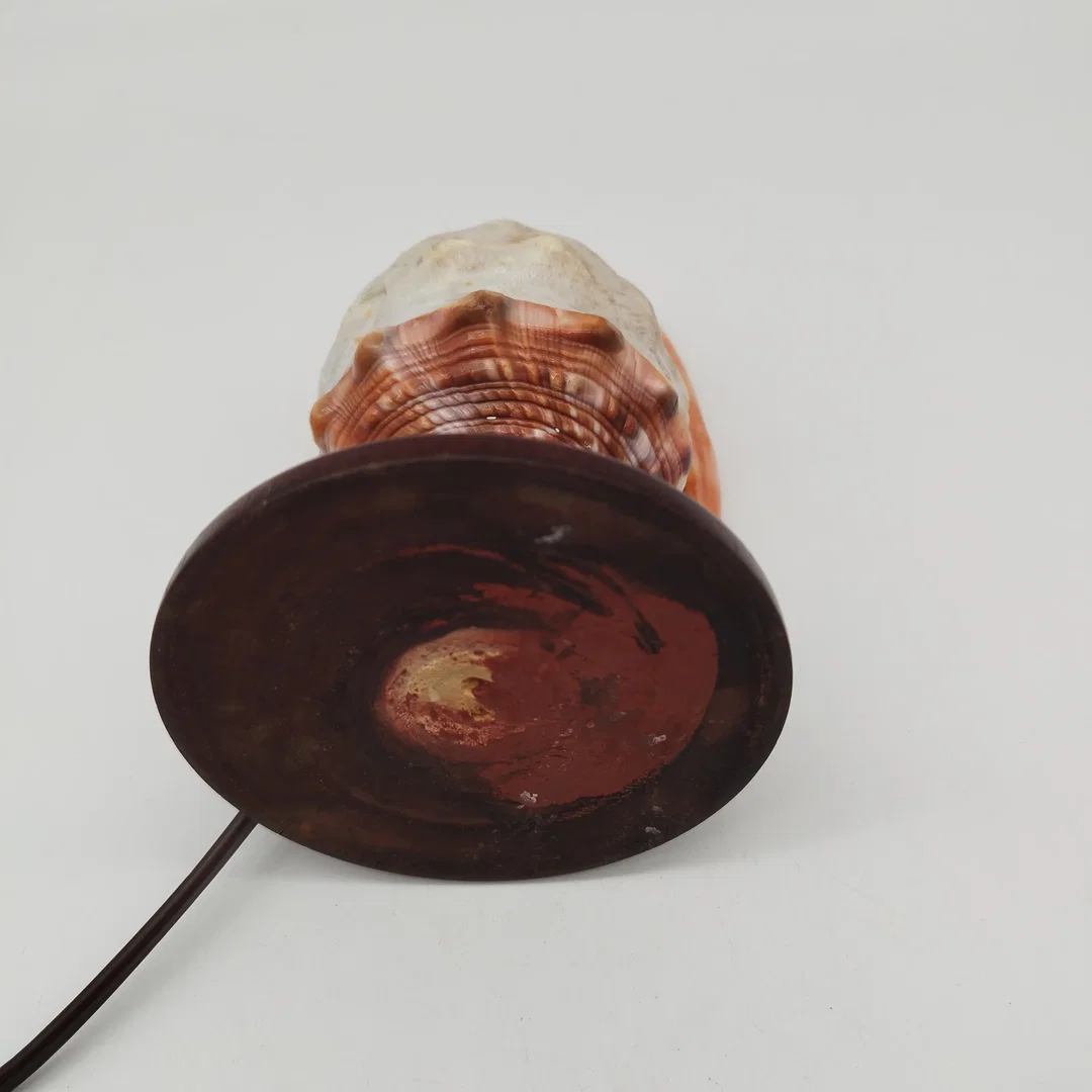 Antike italienische Muschellampe / Cameo-Shell-Akzentlampe – ca. 1920er Jahre – Bild 7
