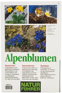 Buch 