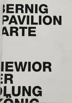 Heimo Zobernig. Austrian Pavilion. Biennale Arte 2015 - Yilmaz Dziewior [Hrsg.] - Bild 2