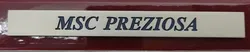 MSC Preziosa - Modellschiff - Bild 4