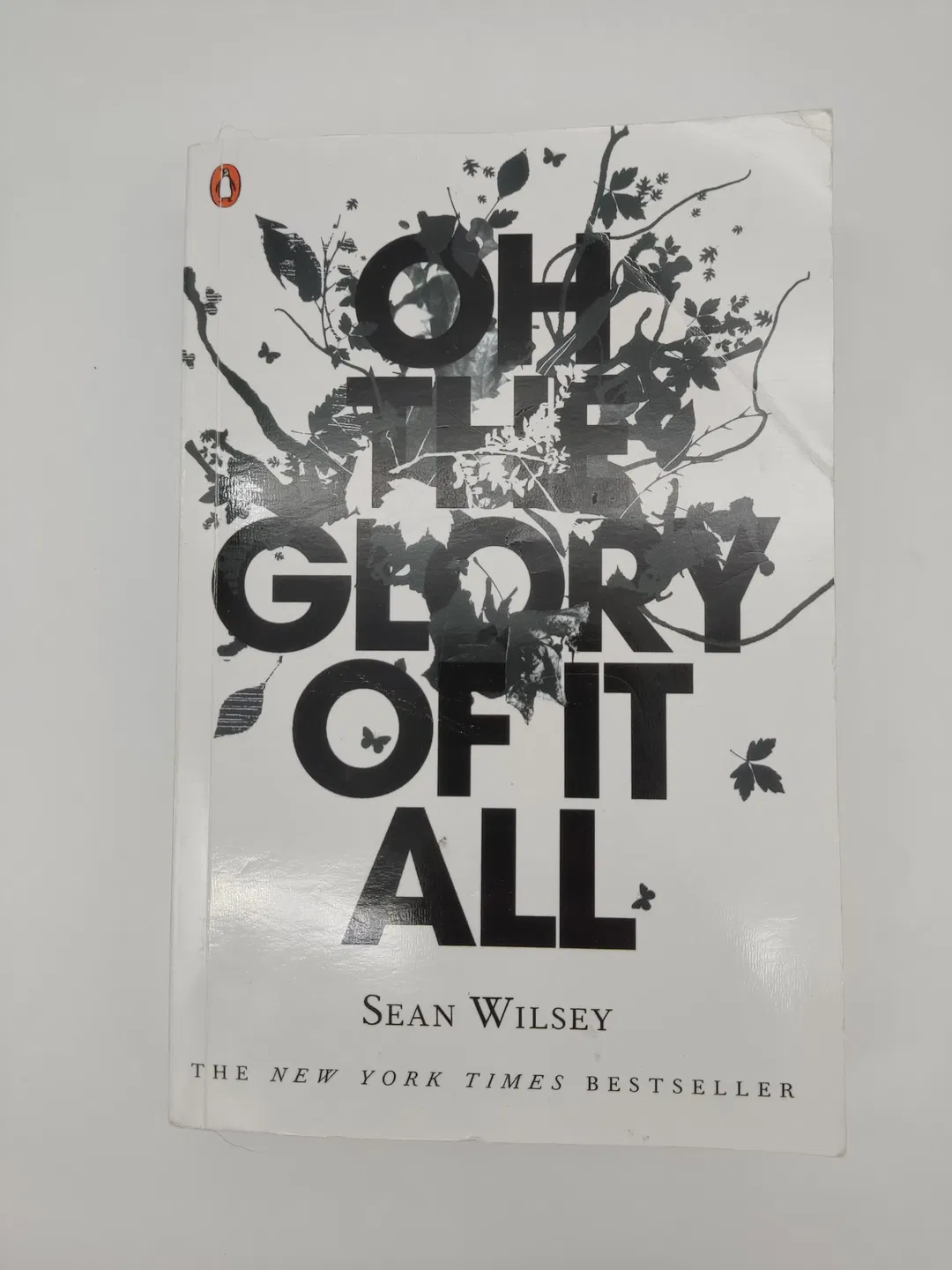 Oh the Glory of It All - Sean Wilsey - Bild 2