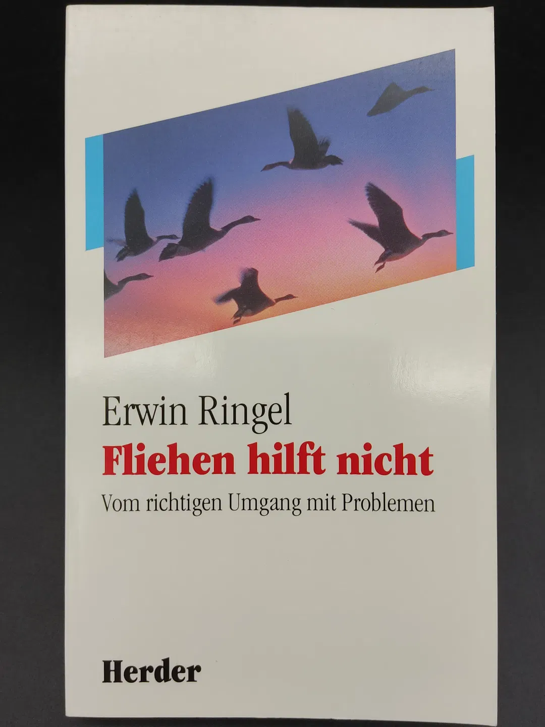 Fliehen hilft nicht - Erwin Ringel - Bild 2