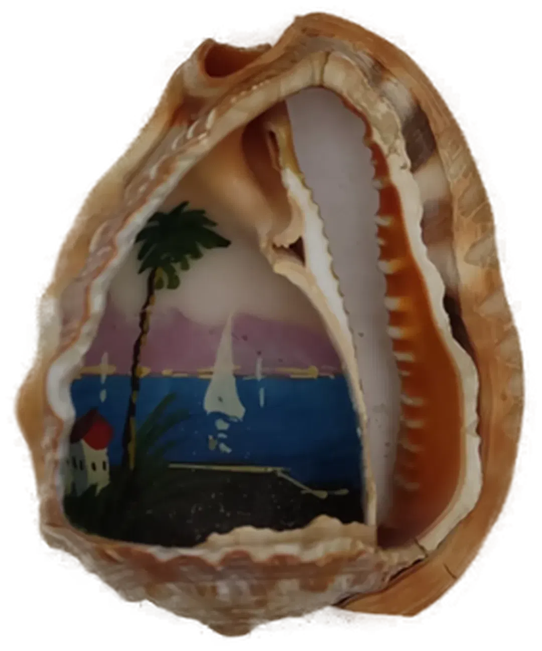 Handbemalte Muschel - Bild 1