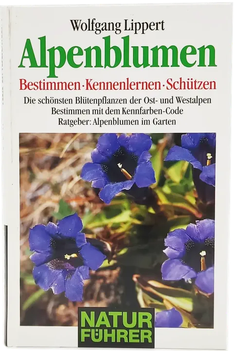 Buch 
