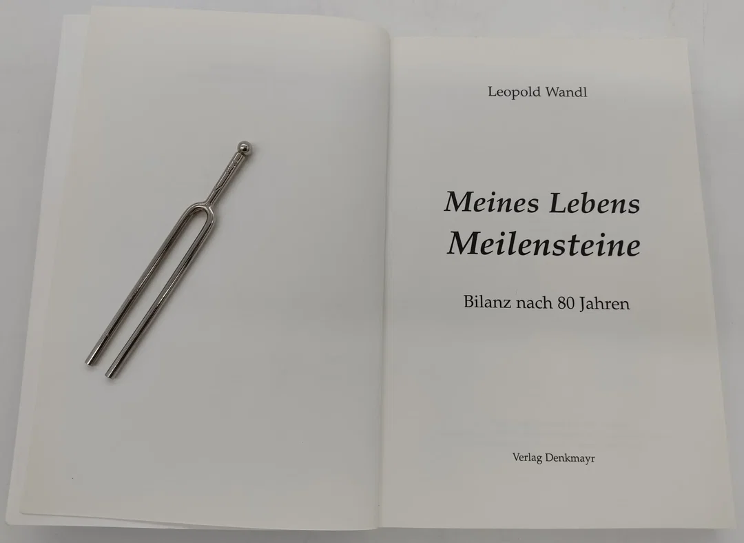 Buch "Meines Lebens MEILEN STEINE" von Leopold Wandl mit persönlicher Widmung des Künstlers – Bild 3