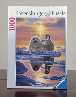 1000 Ravensburger Puzzle - Ravensburger
