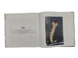 Naturgeheimnis Rheindelta - Bild 2