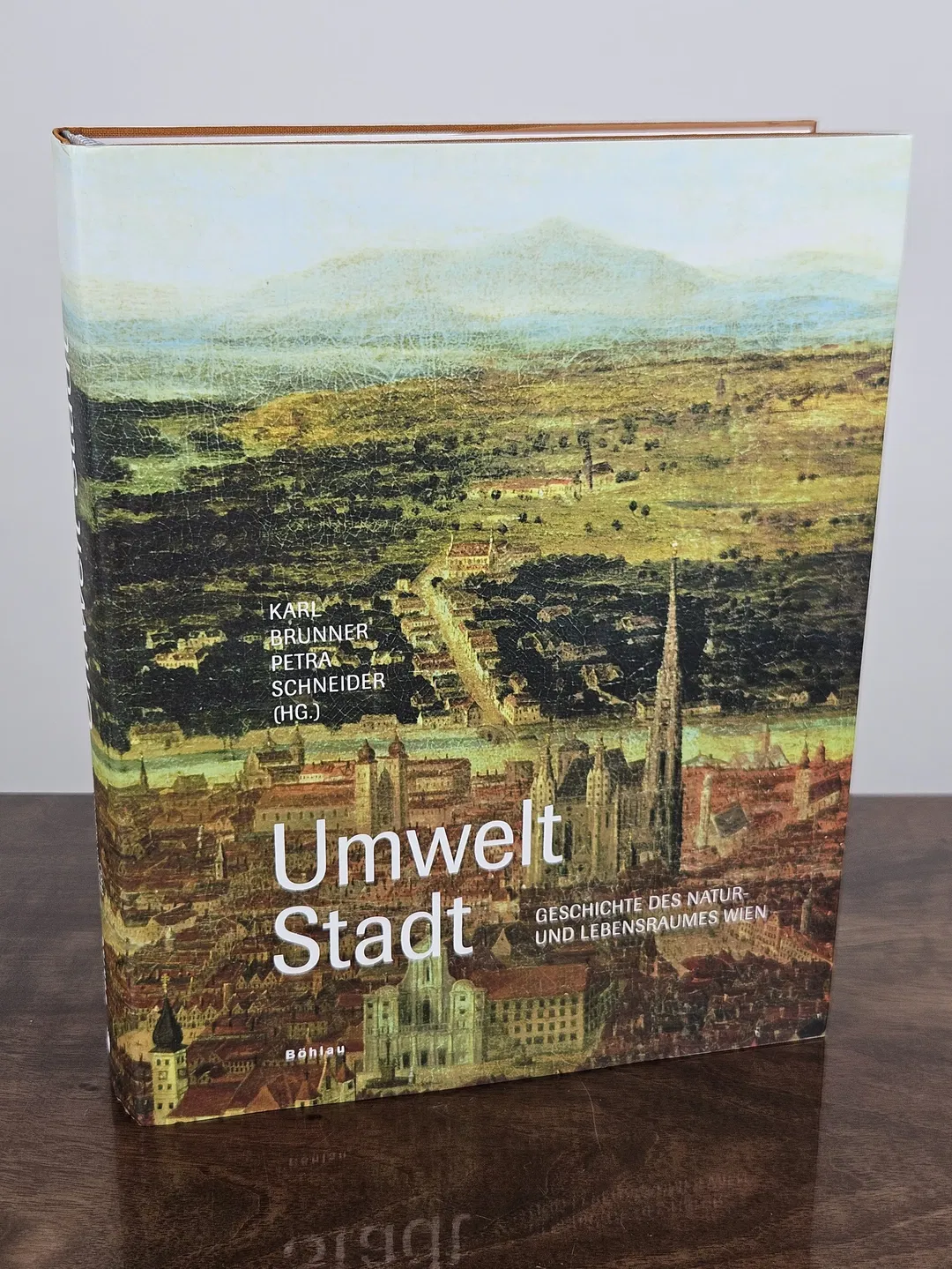 Umwelt Stadt - Karl Brunner, Petra Schneider - Böhlau Verlag - Bild 1