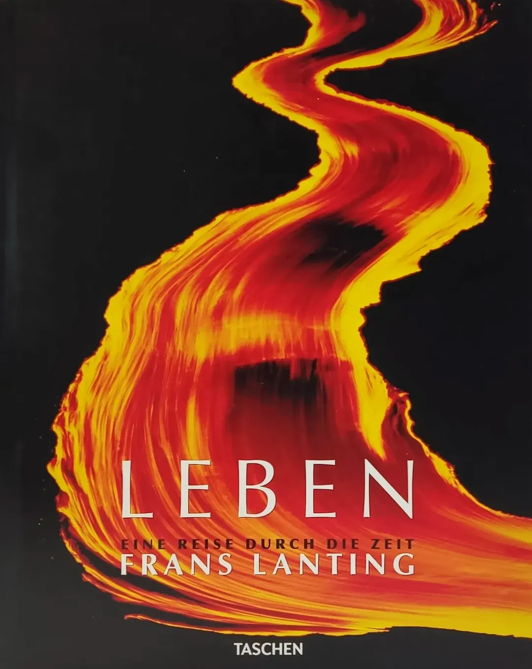 Frans Lanting. LEBEN. Eine Reise durch die Zeit - Bild 2