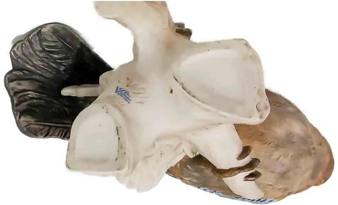 W. Goebel Eichelhäher Porzellanfigur CV 94 – 1968 – ca. 24 cm – Bild 2