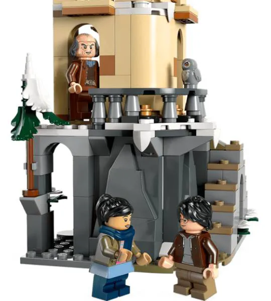 LEGO Harry Potter 76430 – Eulerei auf Schloss Hogwarts | neuwertig | OVP mit leichten Falten – Bild 3
