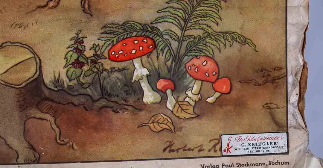 Lehrtafel, Stockmann Verlag Bochum Märchenbilder, Hänsel und Gretel – Bild 2