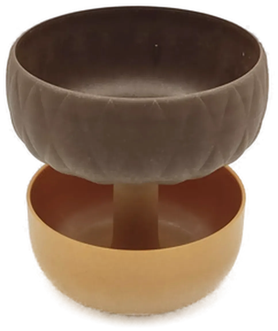Haselnussschale mit Deckel – Bild 3