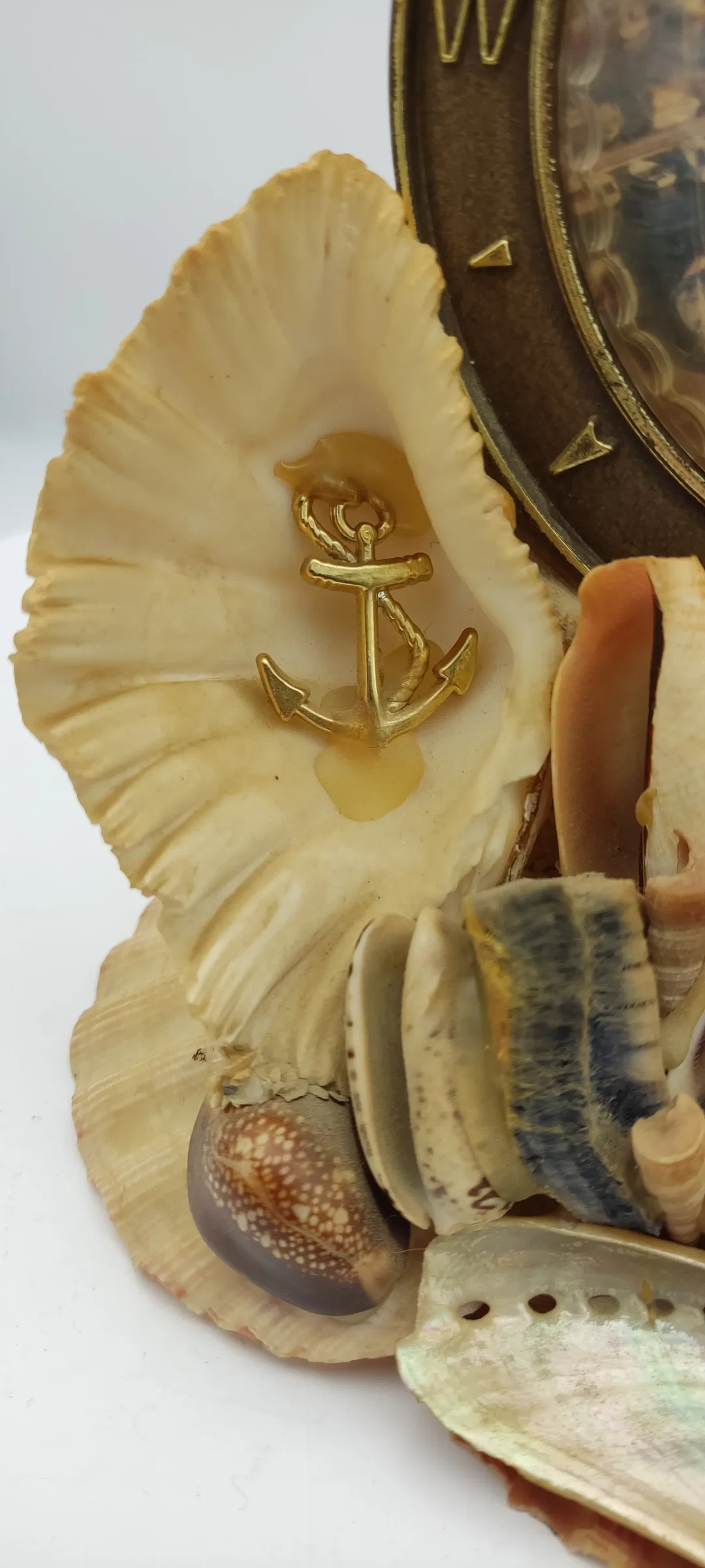 Tischdeko Aus Echten Muscheln | MIt Schönheitsfehler – Bild 3