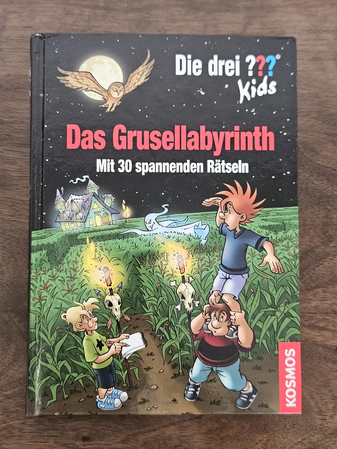 Die drei ??? Kids, Das Grusellabyrinth - Ulf Blanck - Bild 1