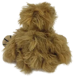 Martin Bär 